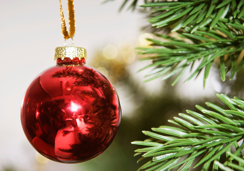 Närbild på en röd julgranskula hängandes från en grön grankvist.