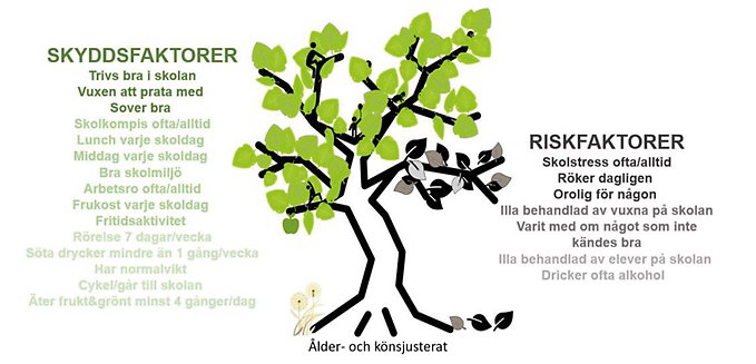 Skydds och riskfaktorer