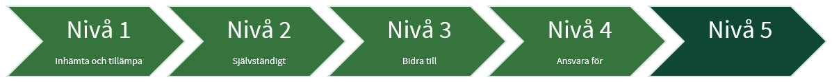 En bild på fem pilar och i varje pil finns ordet nivå angivet samt en siffra. De fyra första  pilarna från vänster har även ett nyckelbegrepp inlagt som visar vad som är utmärkande för varje pil. Alla pilar har en grön färg men pilen längst till höger har en annan grön färg för att visa att den skiljer sig från de andra. 