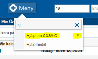Bild som visar att du hittar Cosmics manualer via menyn i Cosmic