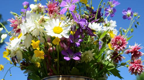 En bukett med sommarblommor mot en blå himmel.