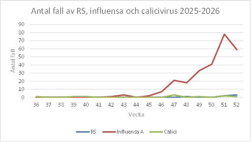 Ett diagram som visar antal fall av RS, influensa och calicivirus - 2025-2026. Diagrammet förklaras i text på sidan.