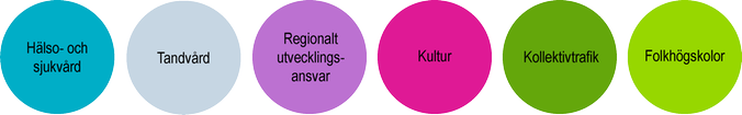 Sex stycken cirklar i olika färger på en rad. I cirklarna står 1) Hälso- och sjukvård, 2) Tandvård, 3) Regionalt utvecklingsansvar, 4) Kultur, 5) Kollektivtrafik, 6) Folkhögskolor