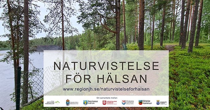 Naturvistelse för hälsan