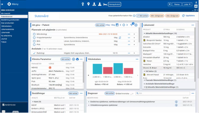 Illustrationsbild över den nya patientöversikten