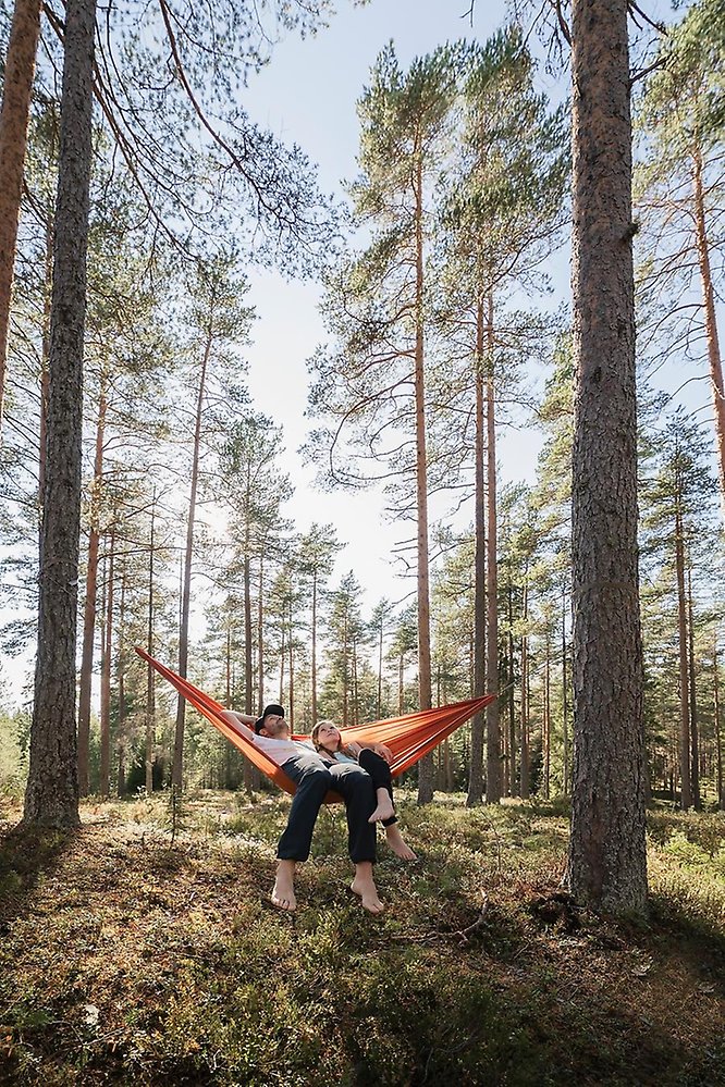 Karta Jämtlands län