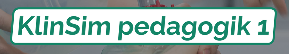 Beskriver den pedagogiska processen